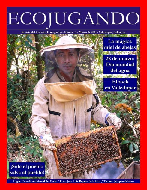 Clic en la imagen para descargar la Revista Ecojugando