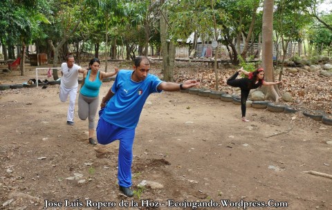 Grupo de personas practicando yoga en una zona arbolada