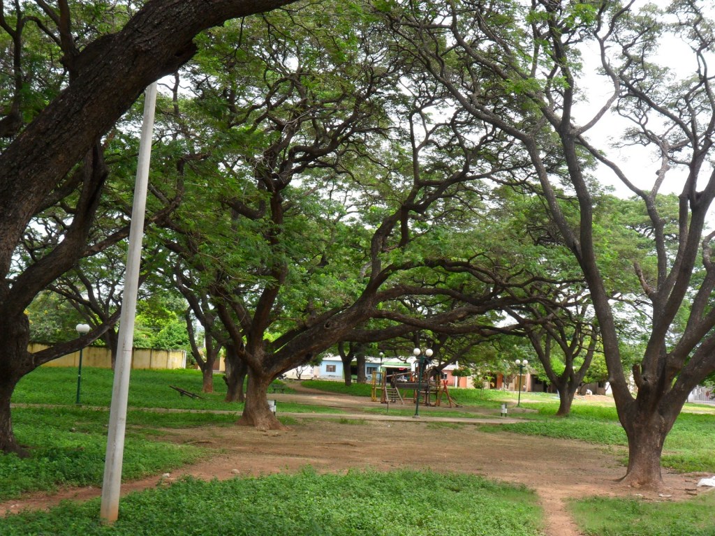 Parque arbolado en la ciudad de valledupar