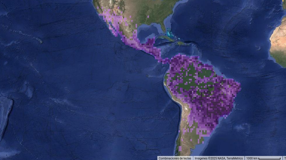 Mapa de distribución de una especie de ave en el continente americano.