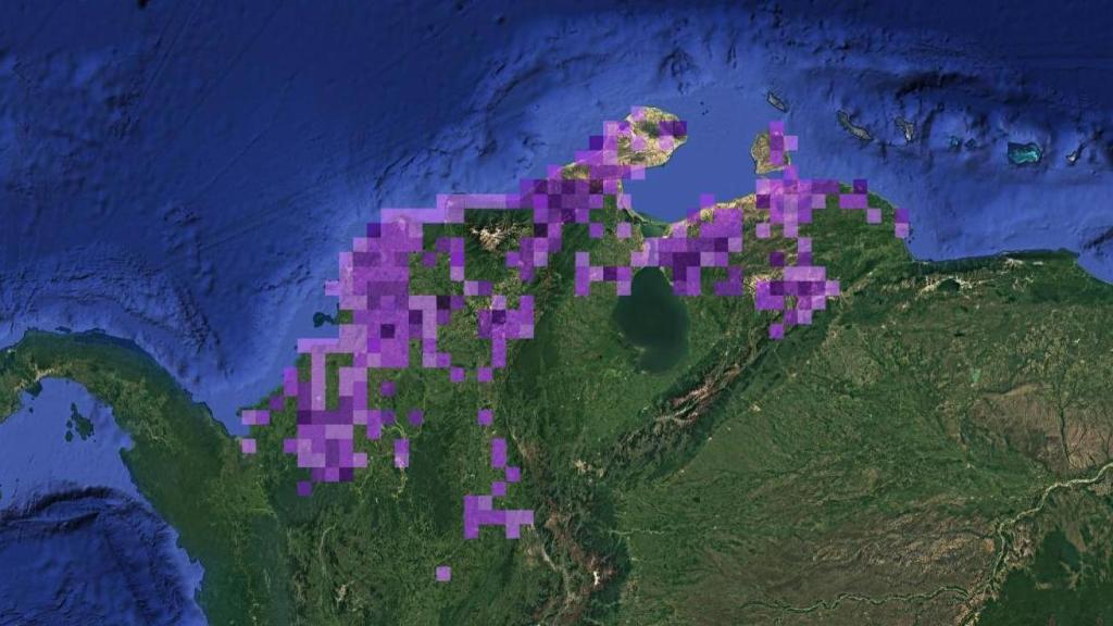 Mapa de distribución del pájaro chamicero bigotudo en el norte de Colombia y Venezuela.