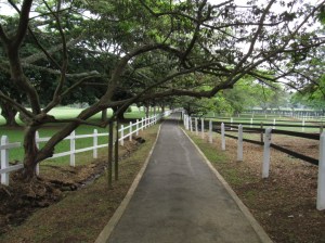 Senderos del Club Campestre de Cali