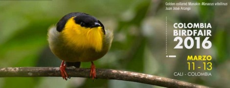 Colombia BirdFair 2016