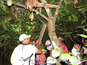 img_3070-paseo-comfacesar