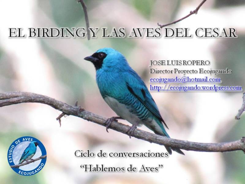 Conferencia 01. El birding y las aves del&nbsp;Cesar
