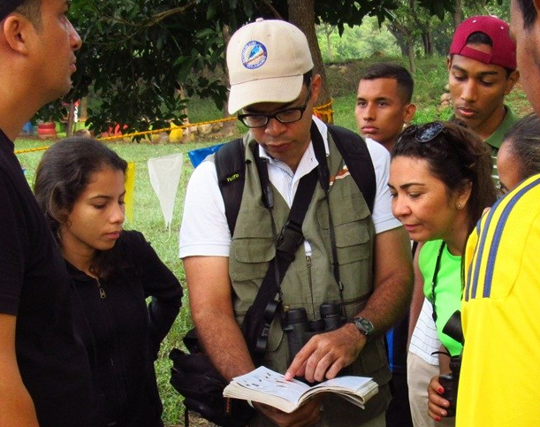 Personas observan ilustraciones de aves