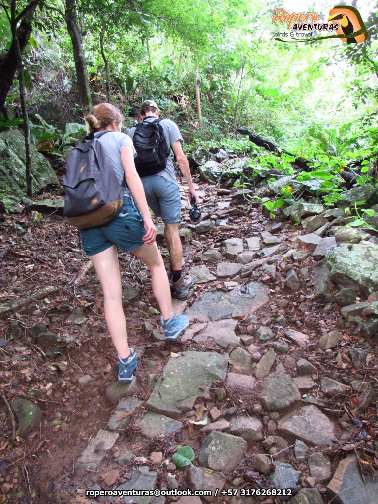 Birding y senderismo. Paseo guiado al Ecoparque Los&nbsp;Besotes