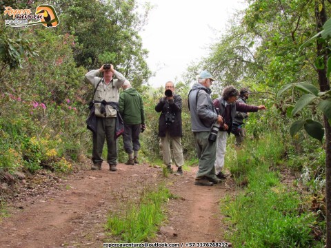 Birders in Perija