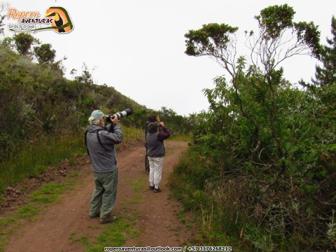Birders taking photos