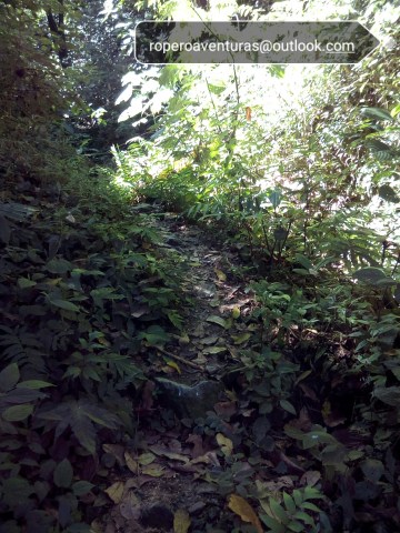 senderos de montaña