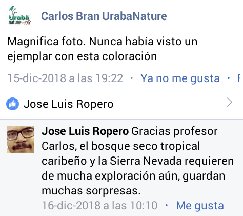Comentarios de los lectores