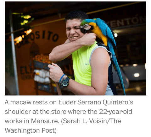 reportaje the washington post