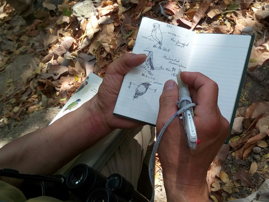 pajarero ilustra su libreta de campo