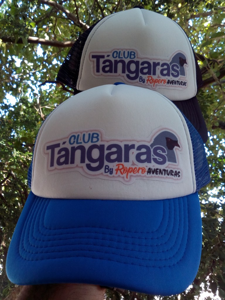 Llegó la gorra oficial del Club&nbsp;Tángaras