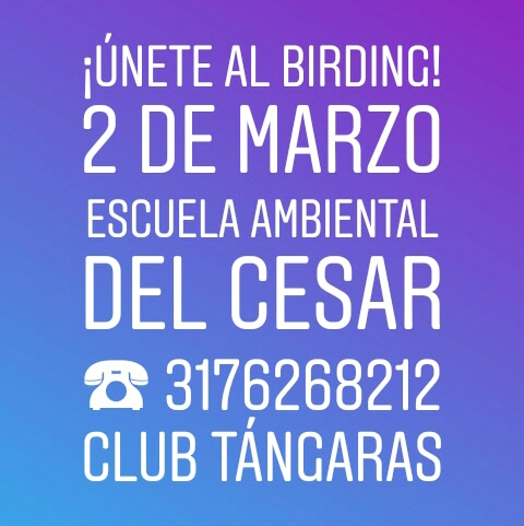 Invitacion observacion de aves valledupar