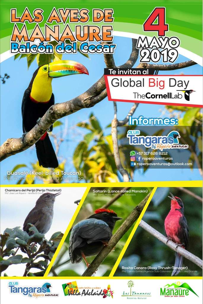 Preparando el Global Big Day 2019 en&nbsp;Colombia