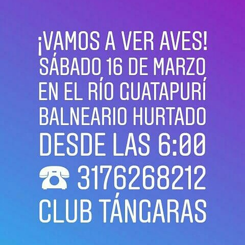 invitacion observacion de aves