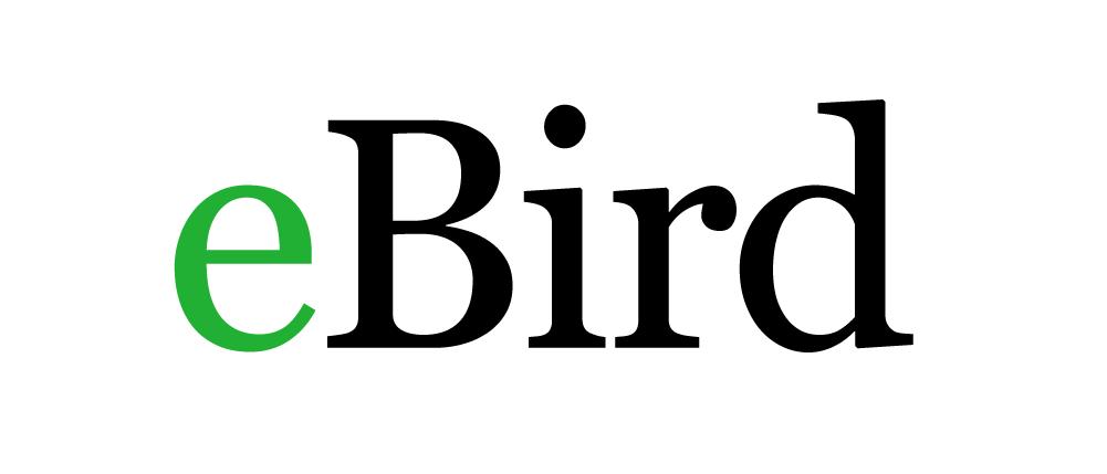 Logo ebird