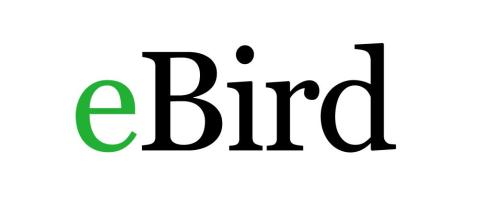 Logo ebird