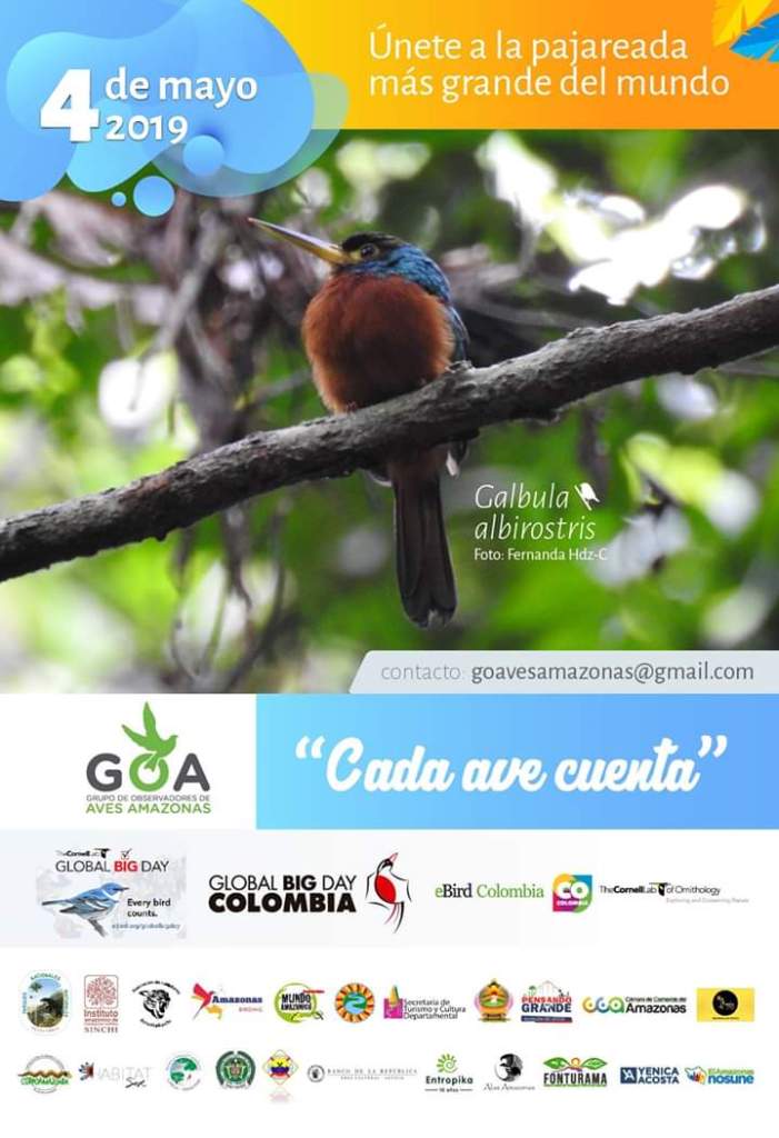 Invitacion global big day amazonas