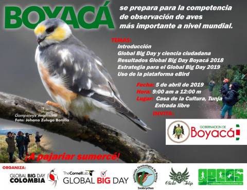 Invitacion global big day boyaca