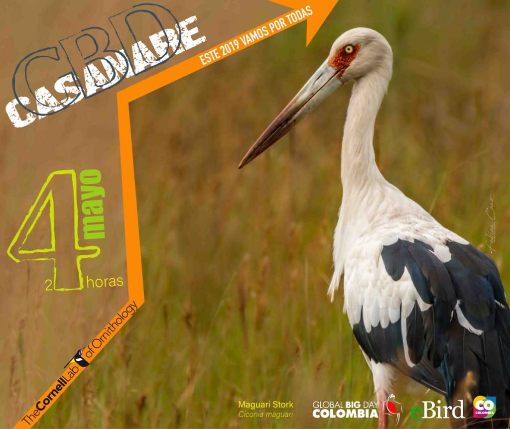 Invitacion global big Day Casanare