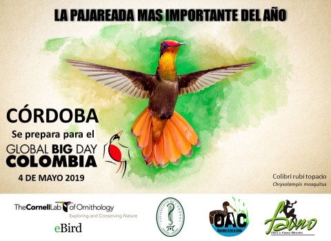 invitacion global big day cordoba