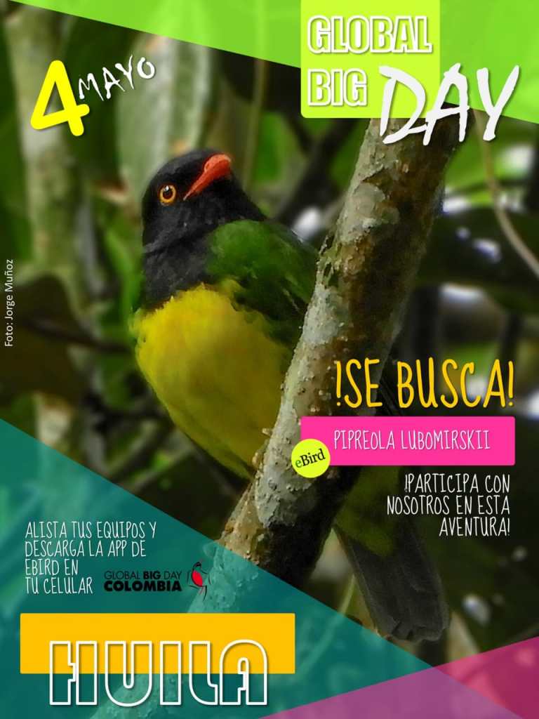 Invitacion global big day huila