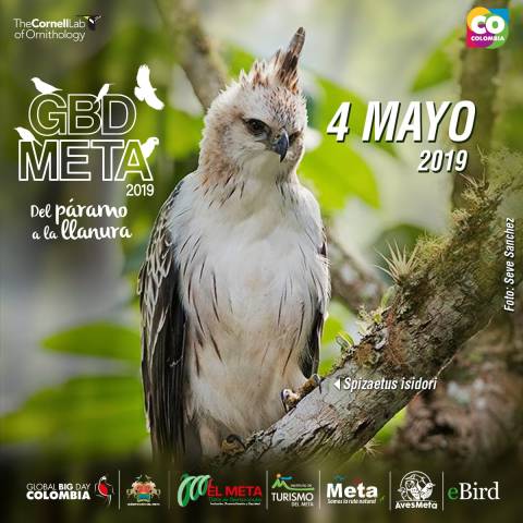 invitacion global big day meta