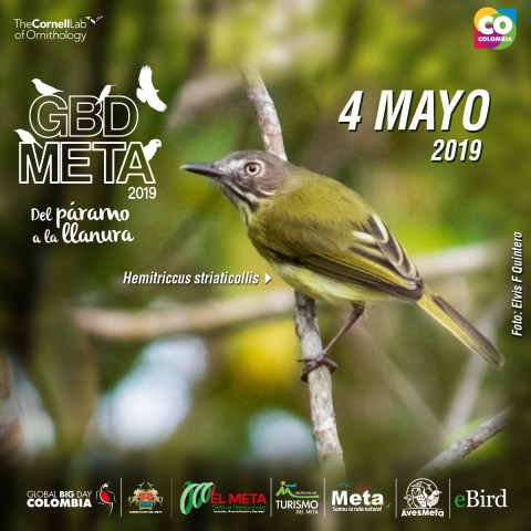 invitacion global big day meta