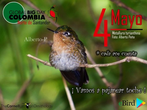 invitacion global big day norte de santander