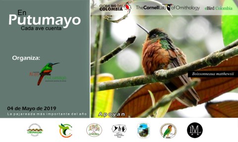 invitacion global big day putumayo