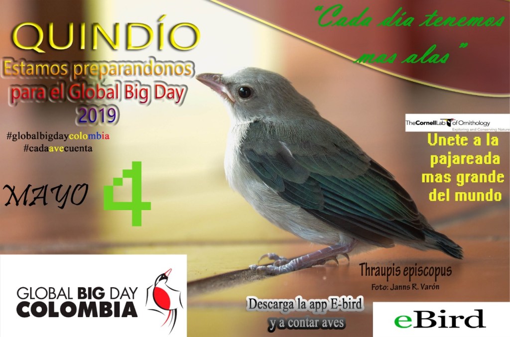 Invitacion global big day quindio