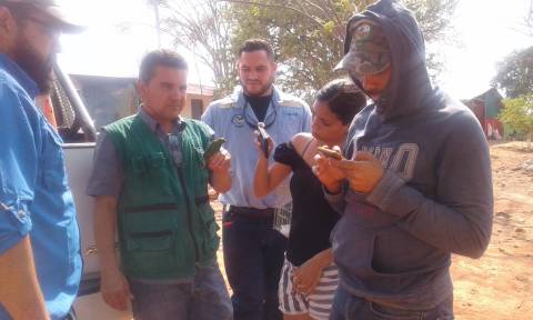 operacion rescate de pajaros