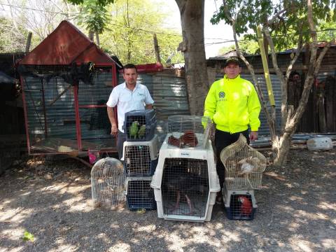 operacion rescate de animales