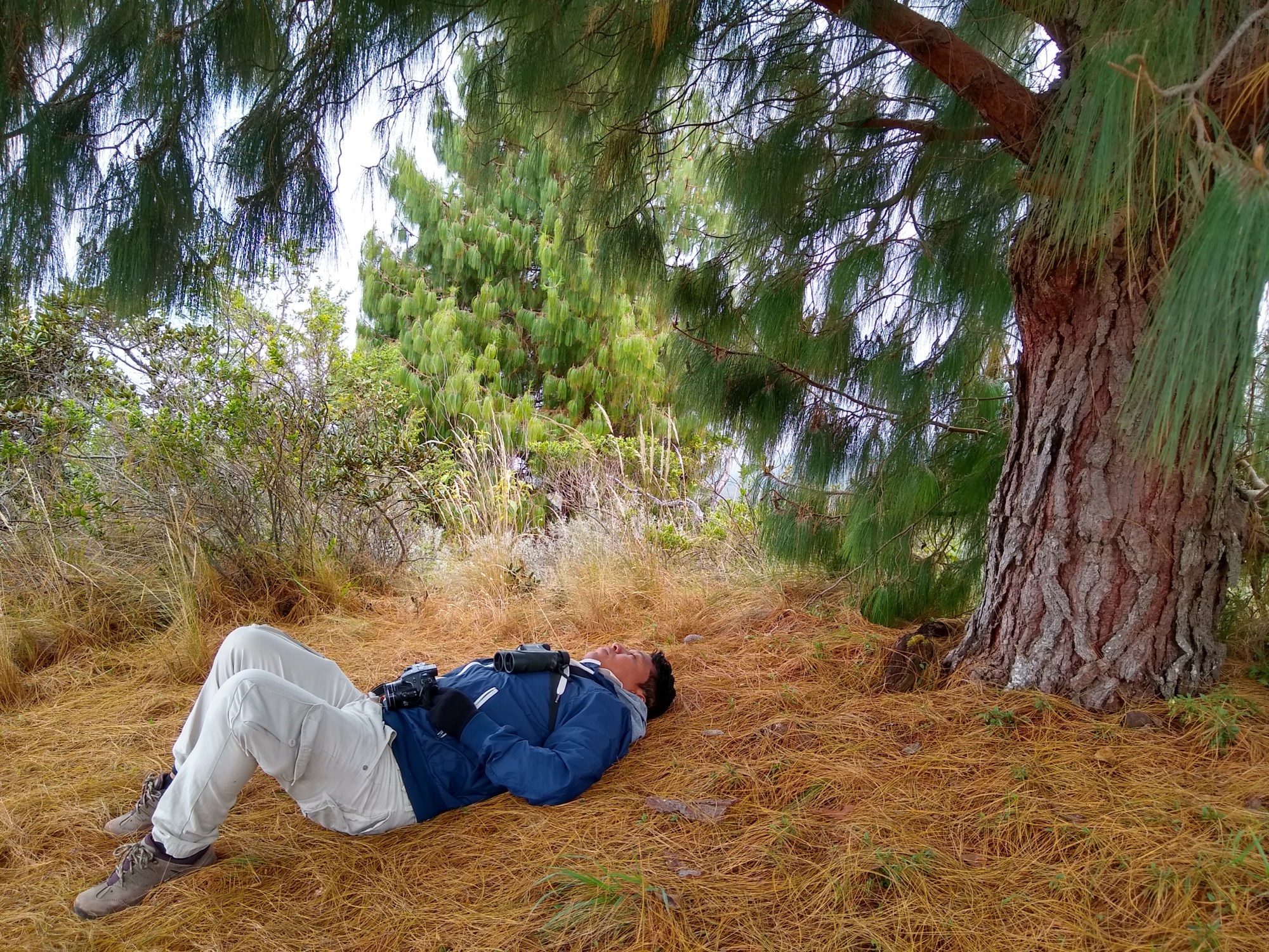 guia jose luis pushaina descansando