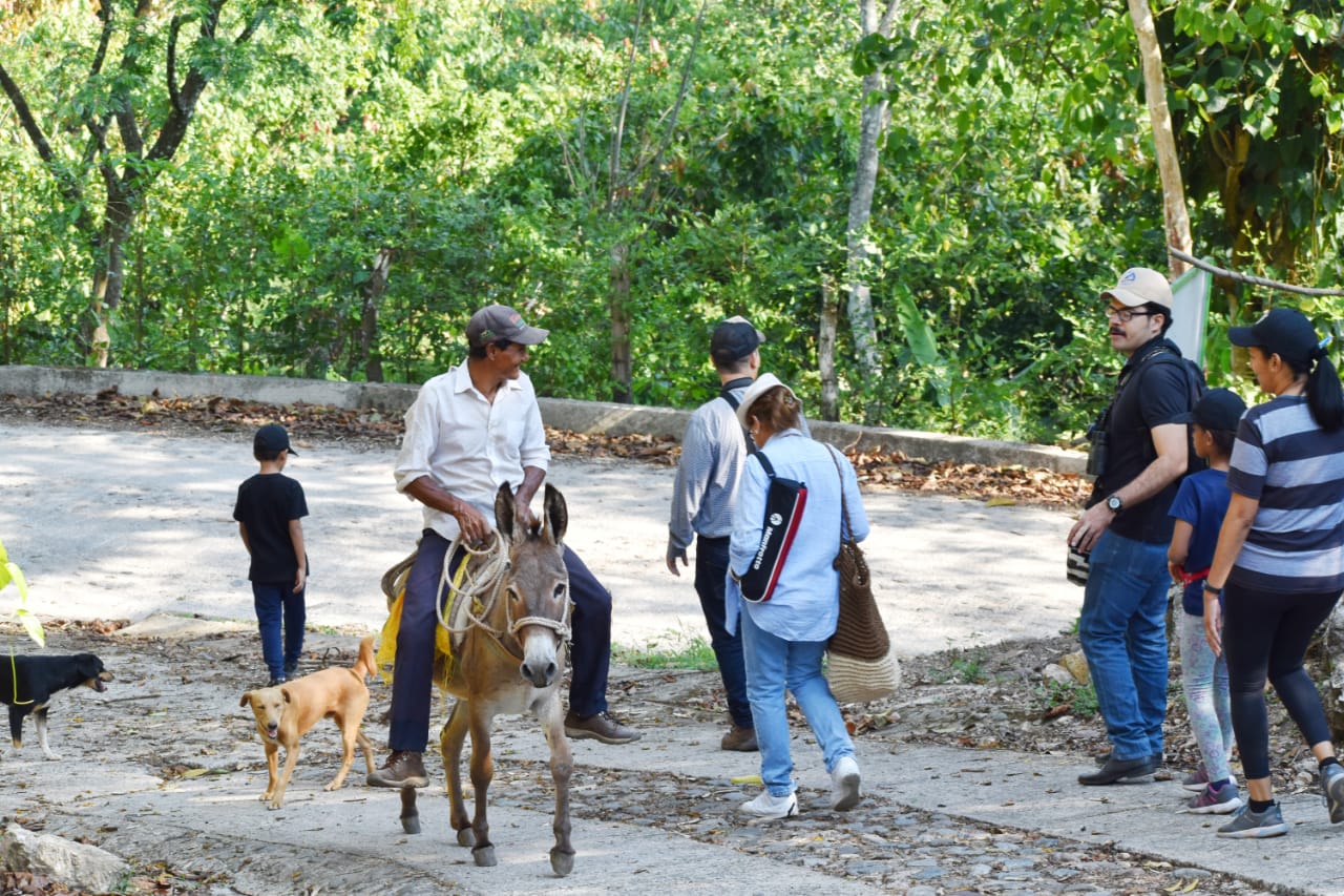 Caminatas ecologicas en manaure cesar