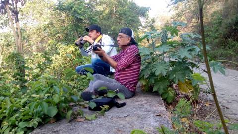 Pajareros de Manaure Cesar