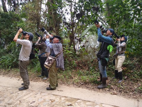 Fotógrafos de aves PErijá