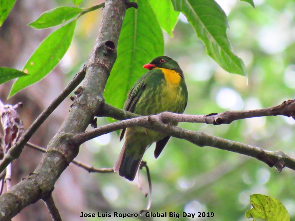 Así fue el Global Big Day 2019 en Manaure Balcón del&nbsp;Cesar