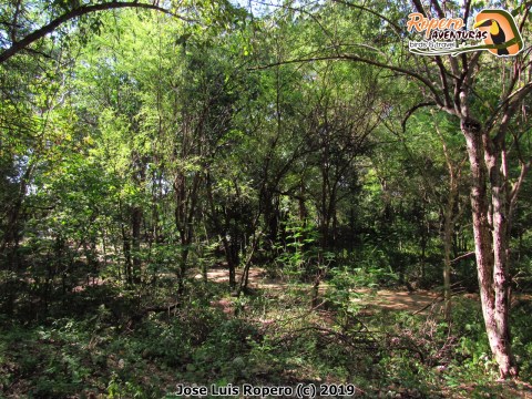 Bosque del Cementerio de Valledupar
