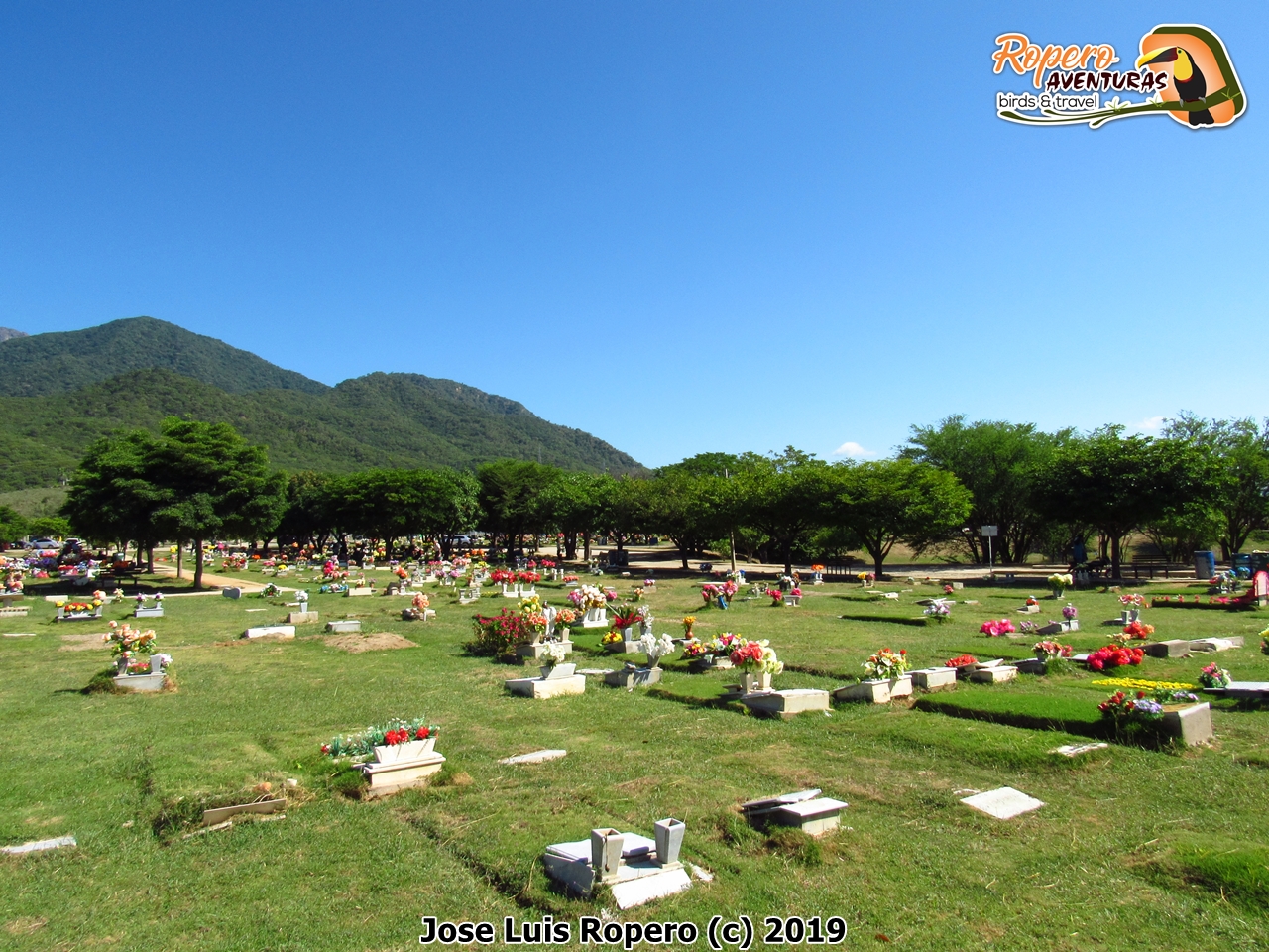 Cementerio Jardines Ecce Homo