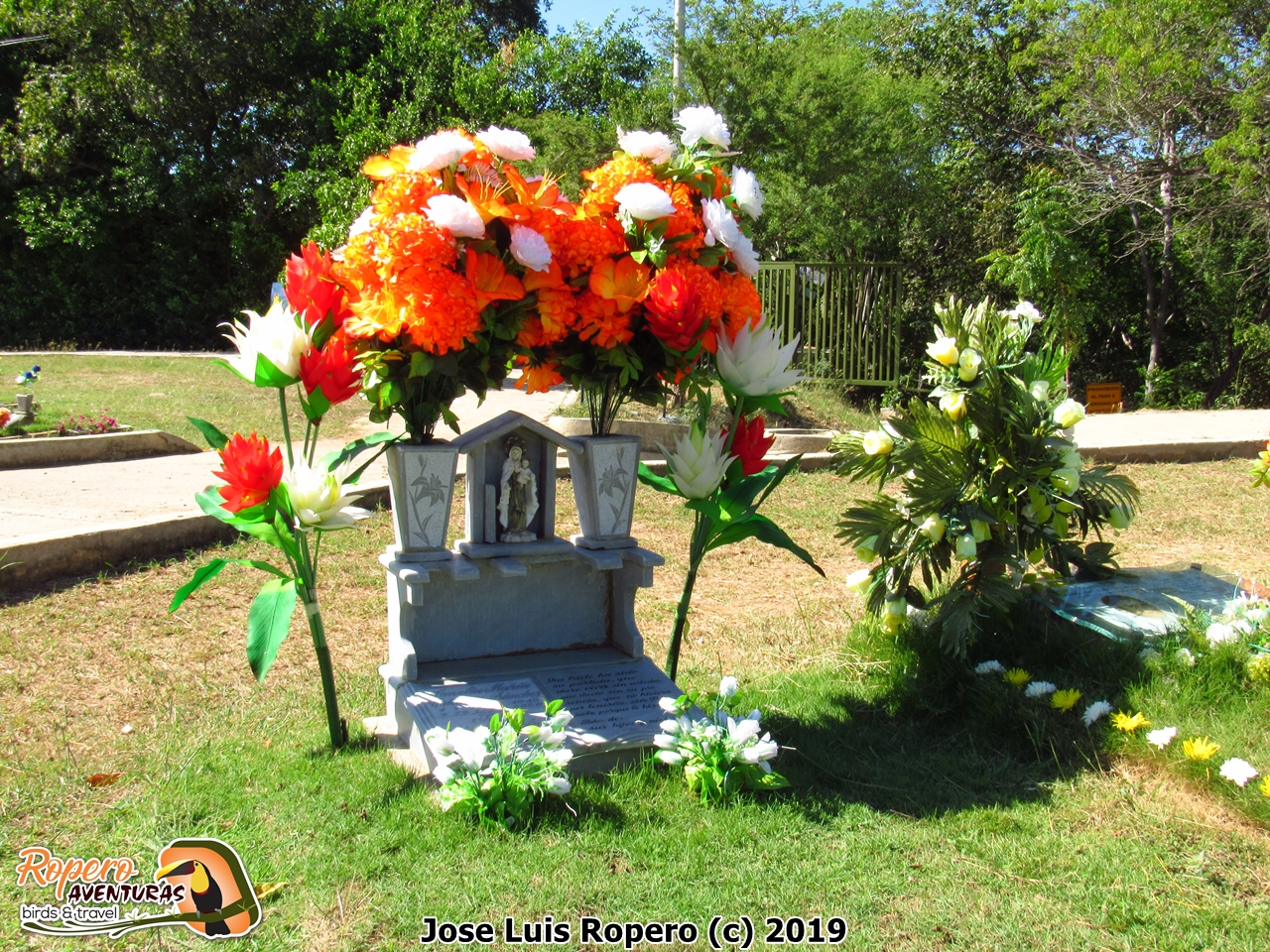 Lápida Cementerio Valledupar