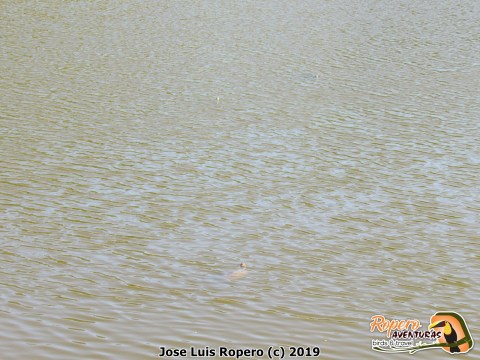 Lago Jardines del Ecce Homo