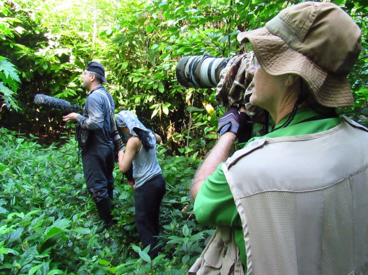 Andres Cuervo Ornitologo colombiano