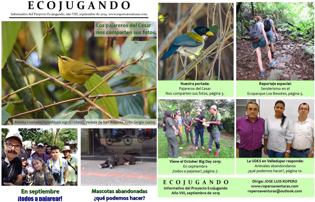 Portada Revista Ecojugando septiembre 2019