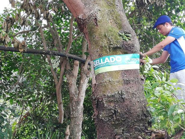 Funcionarios de Corpocesar Manaure