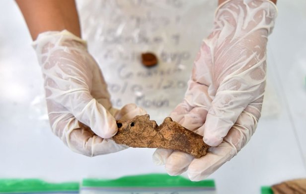 Trozos de hueso arqueologico