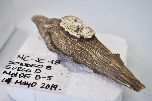 Hallazgo arqueologico joya de ceren