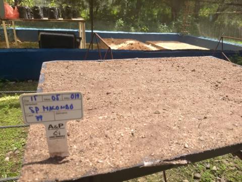 Semillero de macondo